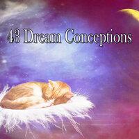 43 Dream Conceptions