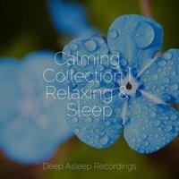 Calming Collection | Relaxing & Sleep