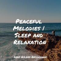 Peaceful Melodies | Sleep and Relaxation