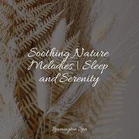 Soothing Nature Melodies | Sleep and Serenity