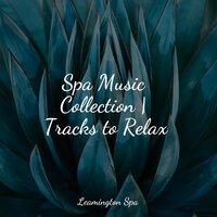 Spa Music Collection | Tracks to Relax