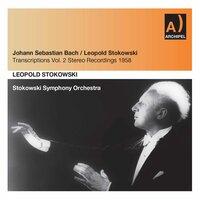 Leopold Stokowski's Symphony Orchestra