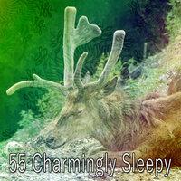 55 Charmingly Sleepy