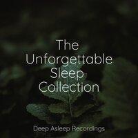 The Unforgettable Sleep Collection