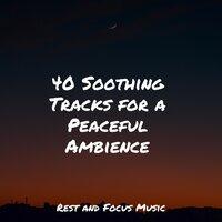 40 Soothing Tracks for a Peaceful Ambience