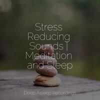 Stress Reducing Sounds | Meditation and Sleep