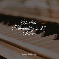 Absolute Tranquility in 25 Pieces