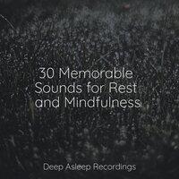 30 Memorable Sounds for Rest and Mindfulness