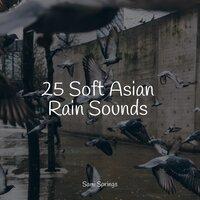 25 Soft Asian Rain Sounds