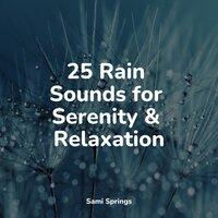 25 Rain Sounds for Serenity & Relaxation