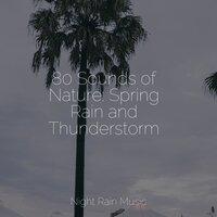 80 Sounds of Nature: Spring Rain and Thunderstorm