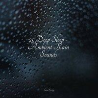 25 Deep Sleep - Ambient Rain Sounds