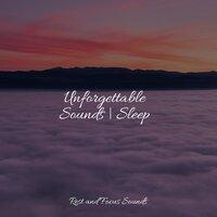 Unforgettable Sounds | Sleep