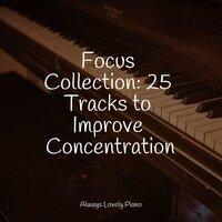 Focus Collection: 25 Tracks to Improve Concentration
