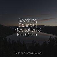 Soothing Sounds | Meditation & Find Calm