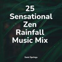 25 Sensational Zen Rainfall Music Mix