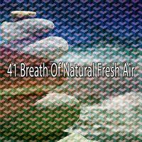 41 Breath Of Natural Fresh Air
