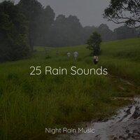 25 Rain Sounds