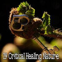 29 Критическое исцеление природы