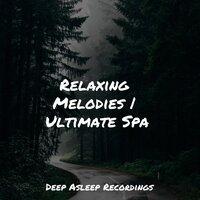 Relaxing Melodies | Ultimate Spa