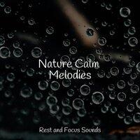 Nature Calm Melodies