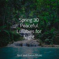 Spring 30 Peaceful Lullabies for Night