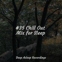 #35 Chill Out Mix for Sleep