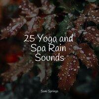 25 Yoga and Spa Rain Sounds