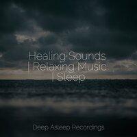 Healing Sounds | Relaxing Music | Sleep