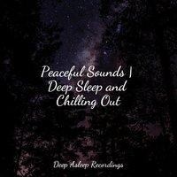 Peaceful Sounds | Deep Sleep and Chilling Out