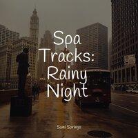 Spa Tracks: Rainy Night