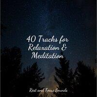 40 Tracks for Relaxation & Meditation