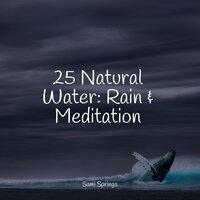25 Natural Water: Rain & Meditation