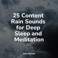 25 Content Rain Sounds for Deep Sleep and Meditation
