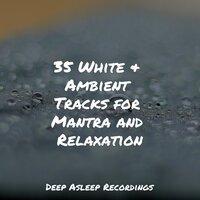 35 White & Ambient Tracks for Mantra and Relaxation