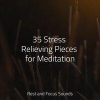 35 Stress Relieving Pieces for Meditation