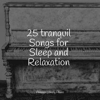25 tranquil Songs for Sleep and Relaxation