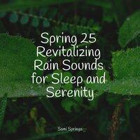 25 Natural Rain Sounds for Deep Sleep and Spa