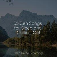 35 Zen Songs for Sleep and Chilling Out