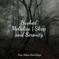 Hushed Melodies | Sleep and Serenity