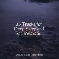35 Tracks for Deep Sleep and Spa Relaxation