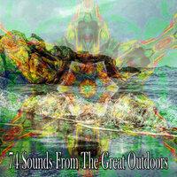 74 Sounds from the Great Outdoors