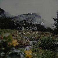 Soulful Nature Melodies | Relaxation