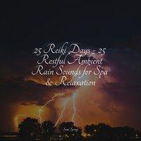 25 Reiki Days - 25 Restful Ambient Rain Sounds for Spa & Relaxation