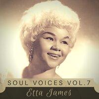 Soul Voices Vol. 7