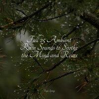 Fall 25 Ambient Rain Sounds to Soothe the Mind and Relax