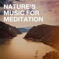 Nature's Music for Meditation