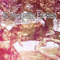 67 Tranquility for Rest