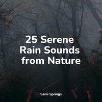 25 Serene Rain Sounds from Nature