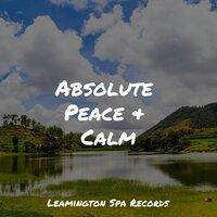 Absolute Peace & Calm